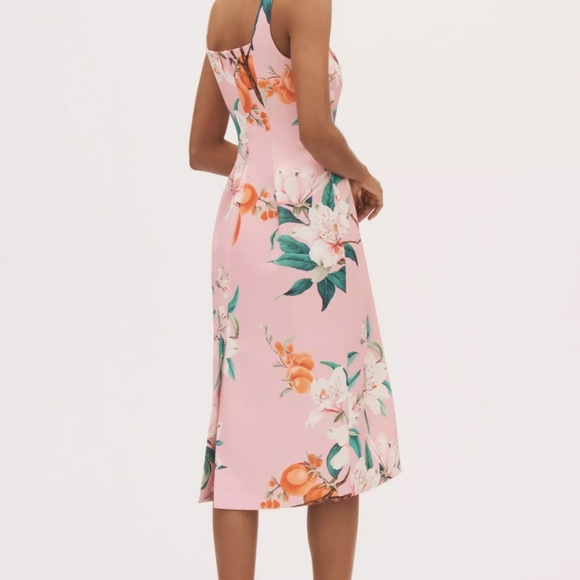 Leo Lin 'Larissa' Midi Dress in Lavish Print in Pink (NWOT) - Picture 8 of 12